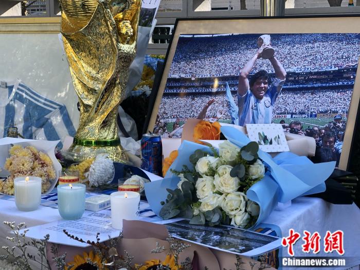 蓝白花束。李赫 摄 蓝白花束。李赫 摄