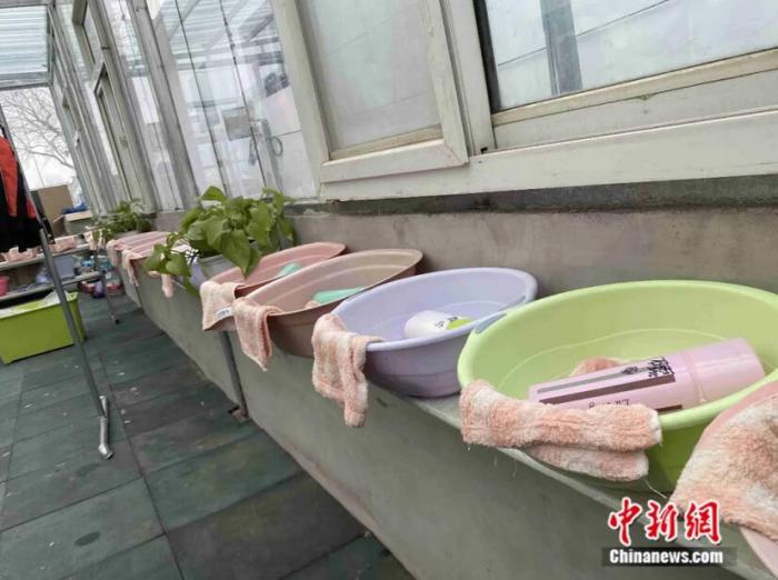 整齐排放的脸盆。王昊 摄 整齐排放的脸盆。王昊 摄