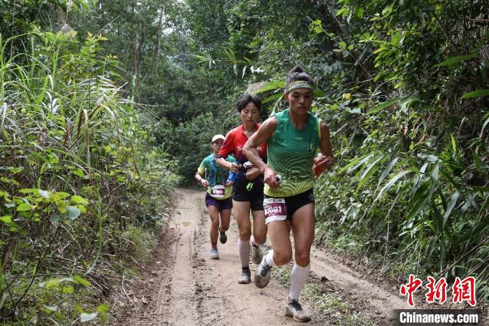 选手正在比赛中。主办方供图