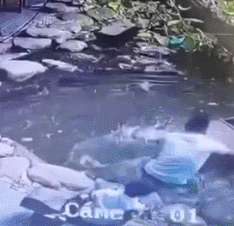 韩鹏救人现场视频截图。 韩鹏救人现场视频截图。
