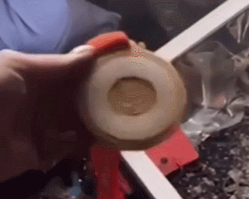 金牌完好无损。