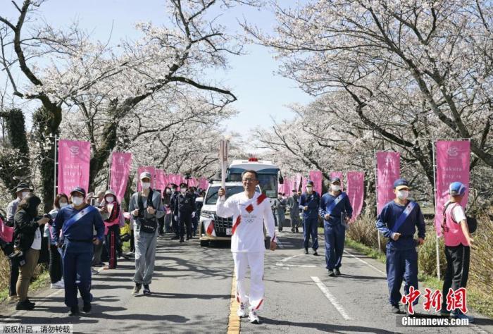 当地时间3月29日,日本栃木,2020东京奥运会火炬传递第5日,火炬在一片樱花树下传递,道路两旁樱花盛开美如画。 当地时间3月29日,日本栃木,2020东京奥运会火炬传递第5日,火炬在一片樱花树下传递,道路两旁樱花盛开美如画。