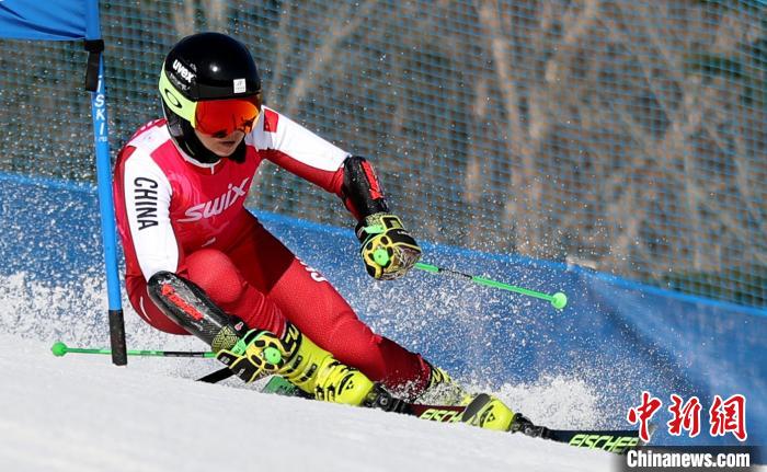 16名黑龙江队员拿到国际雪联积分。黑龙江省体育局提供 16名黑龙江队员拿到国际雪联积分。黑龙江省体育局提供