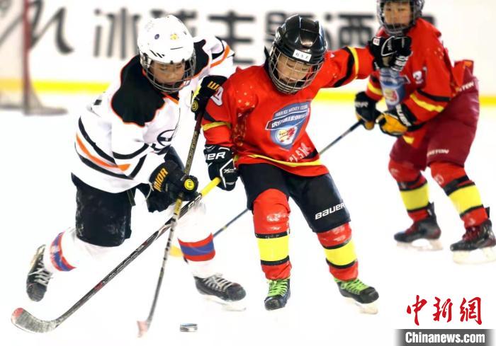 这是全国首个在城市间开展的青少年冰球联赛。 陈复 摄 这是全国首个在城市间开展的青少年冰球联赛。 陈复 摄