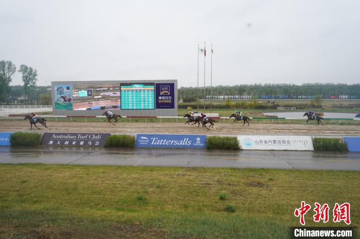 当日,来自山西、北京、天津、河北、内蒙古、湖南等地区的400余匹赛马在绵绵细雨中同场竞技。 李洁军 摄 当日,来自山西、北京、天津、河北、内蒙古、湖南等地区的400余匹赛马在绵绵细雨中同场竞技。 李洁军 摄