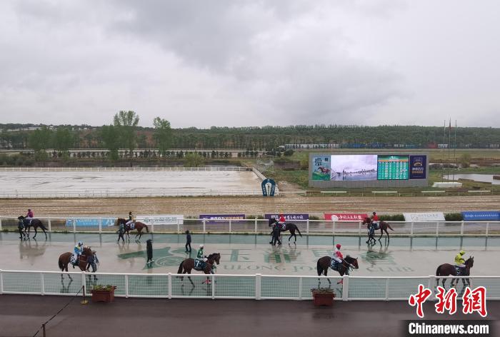 骑手与赛马亮相。 高雨晴 摄 骑手与赛马亮相。 高雨晴 摄