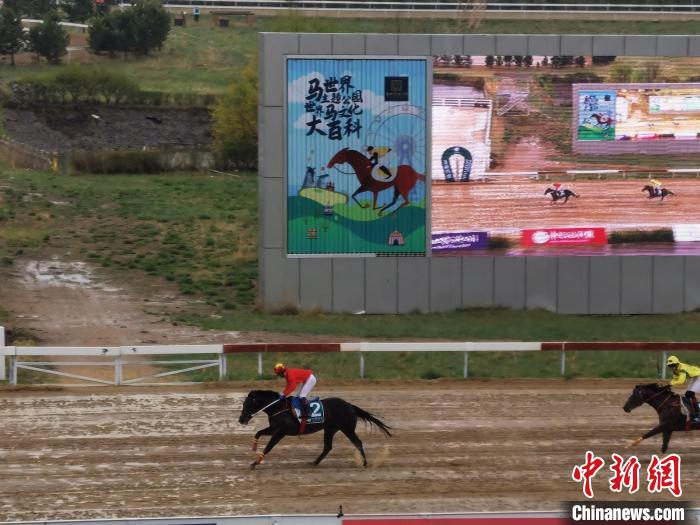 比赛现场。 高雨晴 摄 比赛现场。 高雨晴 摄