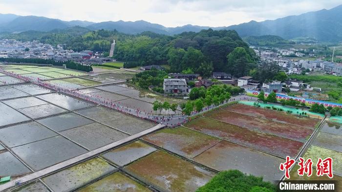 上杭“红古田”半程马拉松赛现场。 林斯乾 摄 上杭“红古田”半程马拉松赛现场。 林斯乾 摄