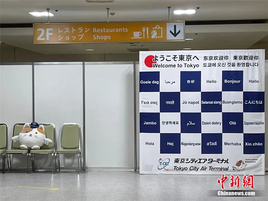 记者手记:从北京到东京,从3个小时到35个小时……