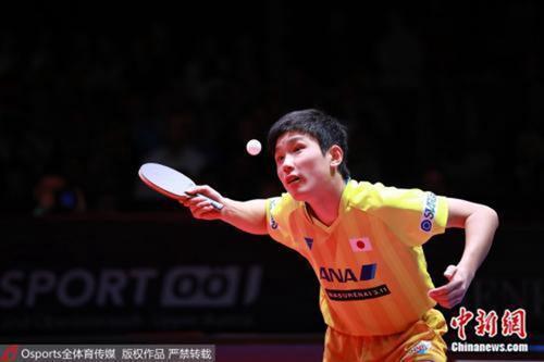 资料图为张本智和。图片来源:Osports全体育图片社 资料图为张本智和。图片来源:Osports全体育图片社