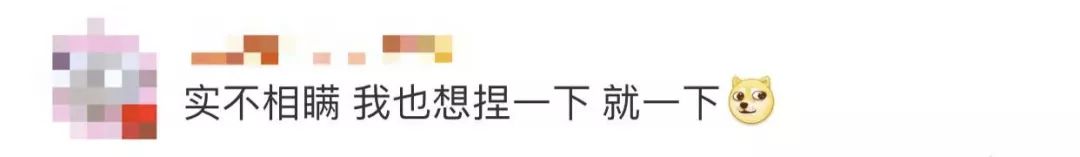 人人都想捏孙颖莎的脸蛋,哈哈哈哈哈哈……