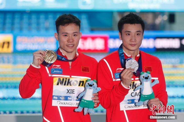 2019游泳世锦赛男子三米板决赛中。中国选手谢思埸夺得冠军。中新社记者 韩海丹 摄 2019游泳世锦赛男子三米板决赛中。中国选手谢思埸夺得冠军。/p中新社记者 韩海丹 摄